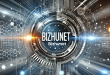 Bizhunet