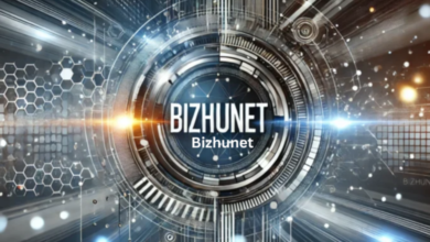 Bizhunet